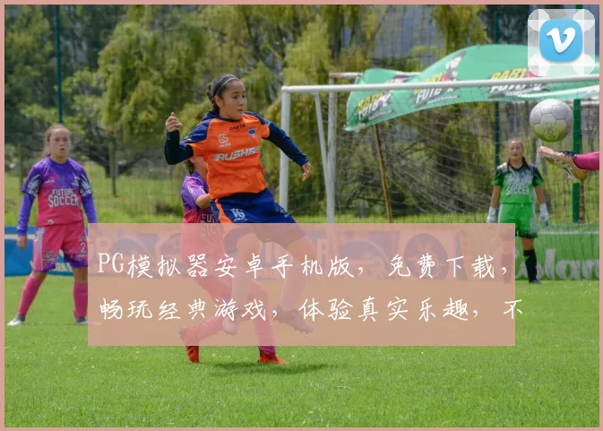 PG模拟器安卓手机版，免费下载，畅玩经典游戏，体验真实乐趣，不容错过