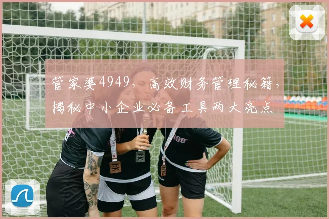 管家婆4949，高效财务管理秘籍，揭秘中小企业必备工具两大亮点
