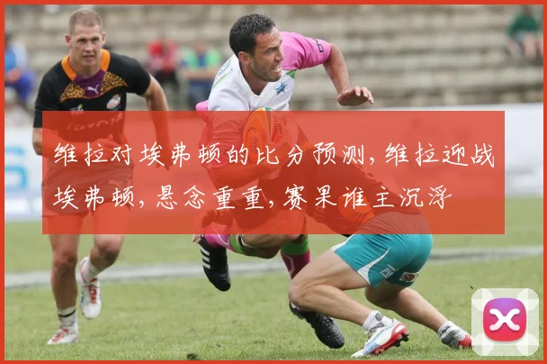 维拉对埃弗顿的比分预测,维拉迎战埃弗顿,悬念重重,赛果谁主沉浮