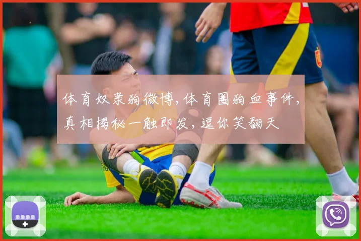 体育奴隶狗微博,体育圈狗血事件,真相揭秘一触即发,逗你笑翻天