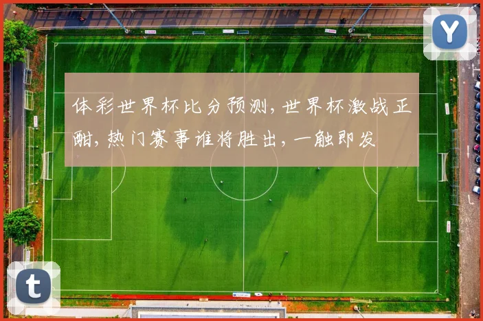 体彩世界杯比分预测,世界杯激战正酣,热门赛事谁将胜出,一触即发
